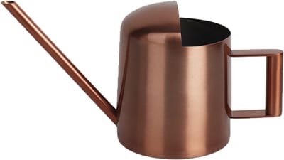 longziming Mini Gieter 300 ml - Kleine Gieter voor Kamerplanten - Binnengebruik - met lange schenktuit - Koperkleuri