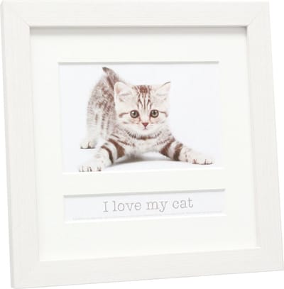 Deknudt Frames multifotolijst - wit - CAT - foto 10x15 cm met tekstvak