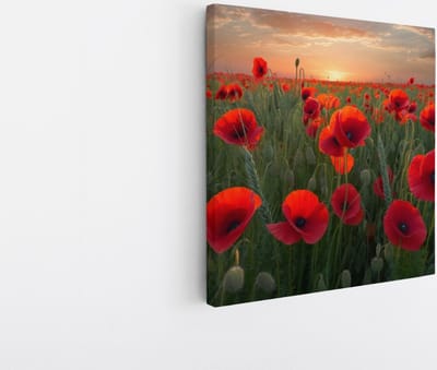 Saammp Canvas Schilderij - Klaprozenveld- Natuur - 20x20 - Foto op canvas - Wanddecoratie - Muurdecoratie Woonkamer - Slaapkamer decoratie - Canvas Print
