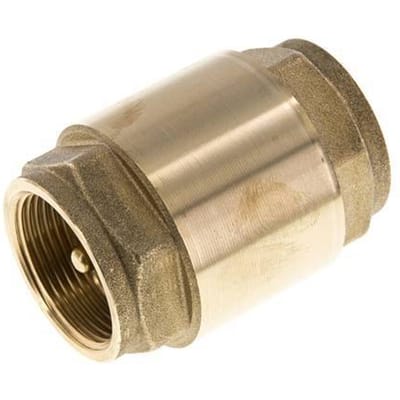 G 1-1/4'' Messing Terugslagklep Voor Vacuum -0.95..18 bar (-13.7..261 psi)