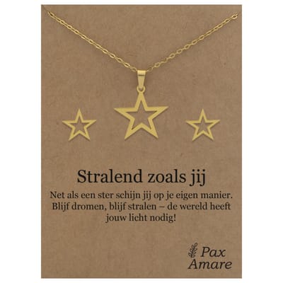 Stainless Steel Ster Ketting + Oorbellen Setje op Cadeau Kaartje - Stralend zoals jij - 45 cm ketting & ± 10x10mm Oorknopjes - Zilverkleurig Roestvrij Staal - Pax Amare