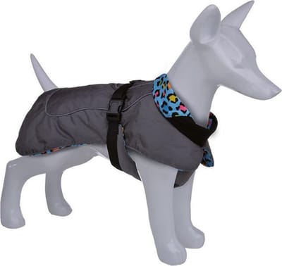 Petlando Happiness Winterjas Hond - Blauw 25cm