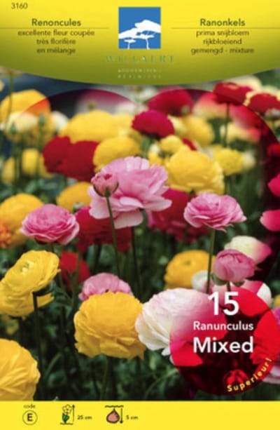 Ranunculus gemengd - mix