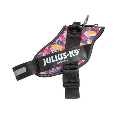 Limited Edition Julius-K9 IDC® Powerharness, Leaf 2 Gr. XL/2: Borstomtrek 71-96cm voor honden