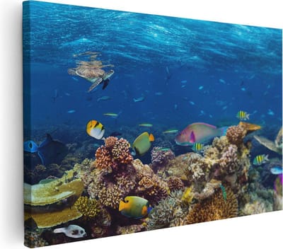 Artaza Canvas Schilderij Tropische Vissen - 30x20 cm - Klein - Wanddecoratie Koraalrif - Muurdecoratie Zeeschildpad - Kamer Accessoires Onderwaterwereld