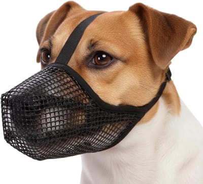 Dit is een verstelbare muilkorf van zacht materiaal, speciaal ontworpen voor kleine honden. Het helpt voorkomen dat uw hond tijdens het wandelen voedselresten van de grond oppikt en kan tevens worden gebruikt als hulpmiddel bij de training (Maat XS)