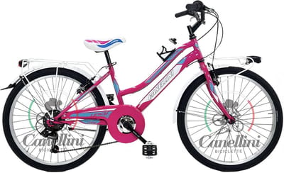 Meisjesfiets MTB 24 Inch Aluminium - 6 Versnellingen Mountainbike