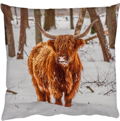 Sierkussens - Kussentjes Woonkamer - 50x50 cm - Schotse Hooglander - Sneeuw - Winter - Natuur - Dieren