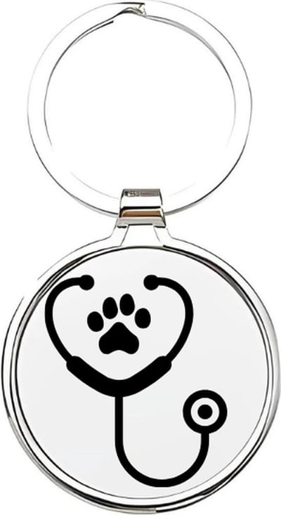 Akyol - De beste dierenarts Sleutelhanger - arts - Dierenartsen - Dieren - dierenverzorger - veearts - veterinair - vet - dier - beroep - sleutelhanger voor een dierenarts - dierendag - dierenliefhebbers - huisdierenverzorger - 4 x 7,5 CM