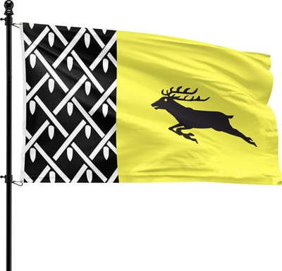 VlagDirect - Nunspeet vlag - Gemeente Nunspeet vlag - 90 x 150 cm.