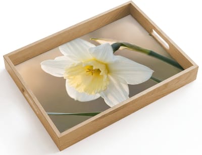 Dienblad hout 40x30 cm - Schootdienblad - Narcis - Bloem - Minimalistisch - Borrelplank rechthoek - Plateau dienbladen