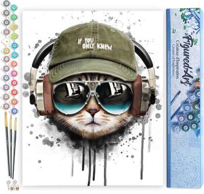 Figured'Art Schilderen op Nummer Volwassenen canvas Kat blijft cool - Handwerk acrylverf Kit DIY Compleet - 40x50cm zonder frame