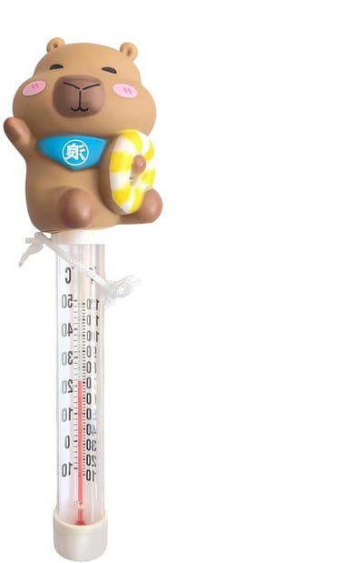 Water Temperatuurmeter - Zwemband Sensor - Zwembad Beheer - Duidelijk Afleesbaar - 23 Centimeter - Wit