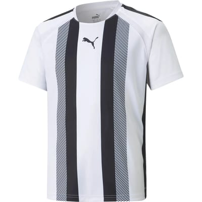 Kinder Sportshirt Puma Team Liga Striped