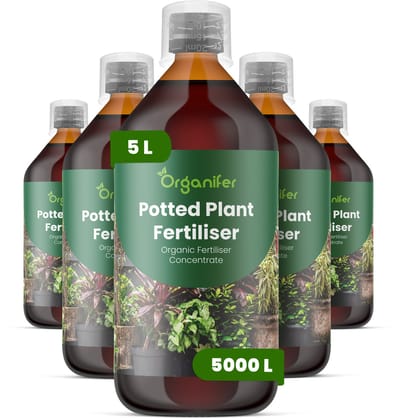 Vloeibare Meststof Voor Potplanten 5X1 L Voor 5000 L - Npk 3-4-3 Ondersteunt Evenwichtige Groei Bij Potplanten - Bevordert Sterke Wortelontwikkeling - Verbetert Bladstevigheid - Kleur En Algehele Plantvitaliteit - Organifer