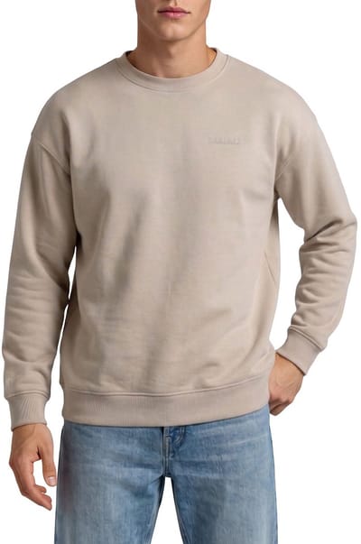 DENIMFY Heren trui DFKeno bequem Beige S Ronde Hals Volwassenen sweatshirt / sweater