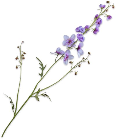 Silk-ka Kunstbloem-Zijden Bloem Delphinium Tak Wit-Paars 110 cm Per 2 Stuks