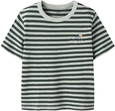 NAME IT - NKMJESSE SS NREG TOP BOX - Jongens - T-shirts