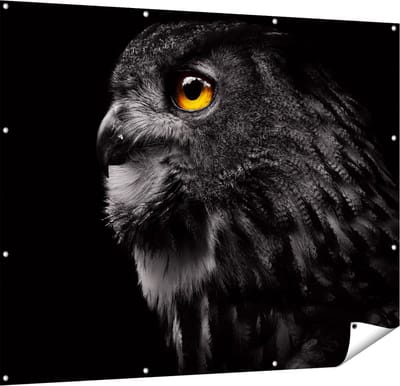 Gards Tuinposter Zwarte Uil met Gouden Ogen - 150x120 cm - Tuindoek - Tuindecoratie - Wanddecoratie buiten - Tuinschilderij
