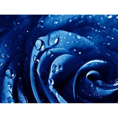 Volledige ronde boor diamant borduurwerk blauwe tovenares 5D DIY diamant schilderij kruissteek strass 20X30CM blue