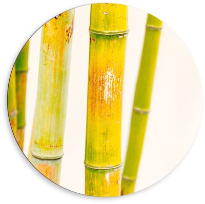 Dibond Wandcirkel - Groene Bamboe Stokken - 80x80cm Foto op Aluminium Wandcirkel (met ophangsysteem)