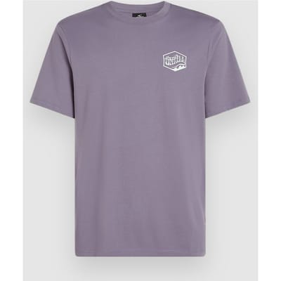 O'Neill Box Logo T-Shirt groen