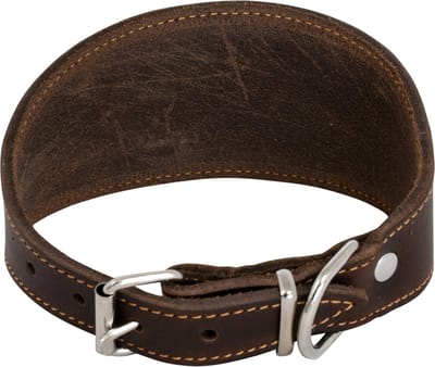 Jack And Vanilla - Halsbanden - whippethalsband - Vetleder - Windhondhalsband - bruin- 42cm nekomtrek 28-35 cm