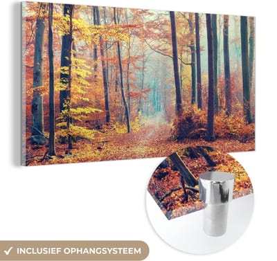 MuchoWow® Glasschilderij 40x20 cm - Schilderij acrylglas - Bos - Herfst - Bladeren - Foto op glas - Schilderijen