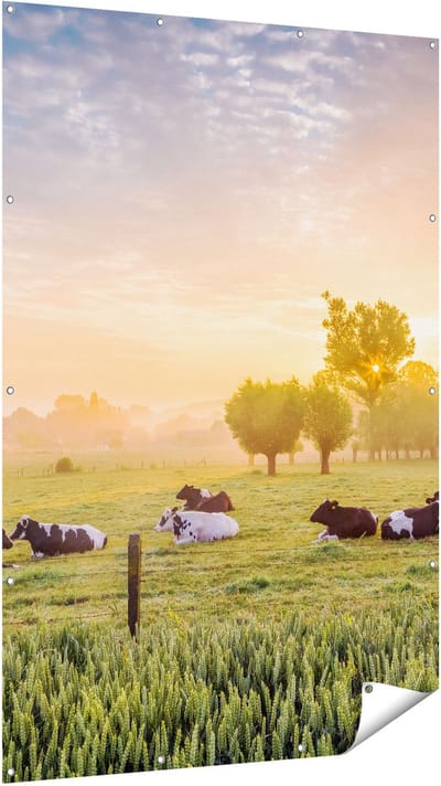Gards Tuinposter Koeien in de Wei tijdens Zonsopgang - 120x180 cm - Tuindoek - Tuindecoratie - Wanddecoratie buiten - Tuinschilderij