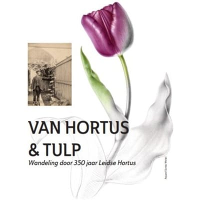 Van Hortus & Tulp - Hortus botanicus Leiden