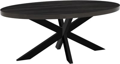 Eettafel ovaal mangohout 180cm James zwart ovale industriële tafel duurzaam mango eetkamertafel