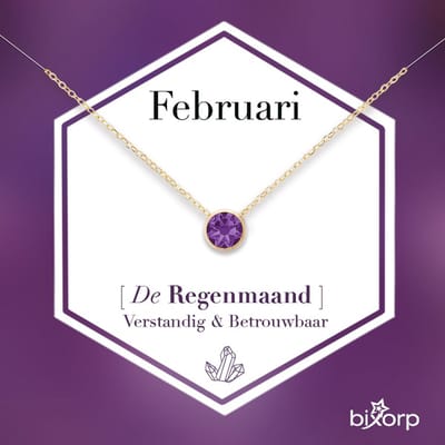 Bixorp Geboortesteen Ketting Februari - 18k Goud Verguld Roestvrij Staal met Zirkonia Hanger - Stainless Steel - Amethist