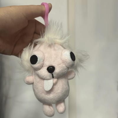 Hoge Kwaliteit Chihuahua Hoge Kwaliteit Pluche Hoge Kwaliteit Sleutelhanger Hoge Kwaliteit Knuffel Hoge Kwaliteit Dieren Hoge Kwaliteit Sleutelhanger Hoge Kwaliteit Hanger beige