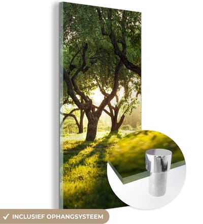 MuchoWow® Glasschilderij 20x40 cm - Schilderij acrylglas - Bomen - Natuur - Zon - Foto op glas - Schilderijen