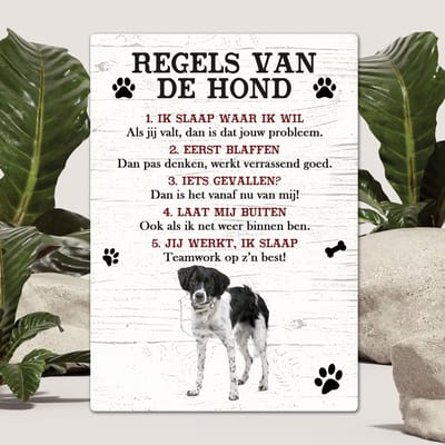 Spreuken - Friese Stabij - Regels Van De Hond - Spreuken Bordjes - Spreukenbord - Tekstborden - Cadeau - Hondenras