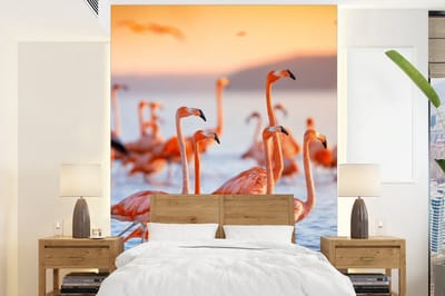 Behang - Fotobehang Flamingo - Dieren - Water - Roze - Breedte 195 cm x hoogte 260 cm