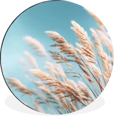 WallCircle - Wandcirkel - Muurcirkel - Siergras - Wind - Lichtbruin - Aluminium - Dibond - 30x30 cm - Binnen en Buiten