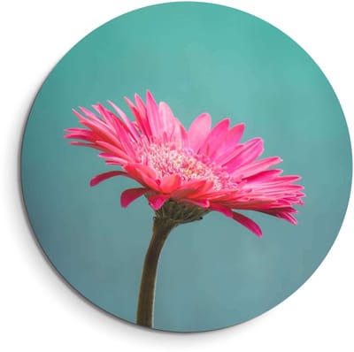 KitchenArt - Blush Bloom – Muurcirkel Binnen - ø 40 cm - Wandcirkel - Mét Ophangsysteem - Wanddecoratie - Muurdecoratie