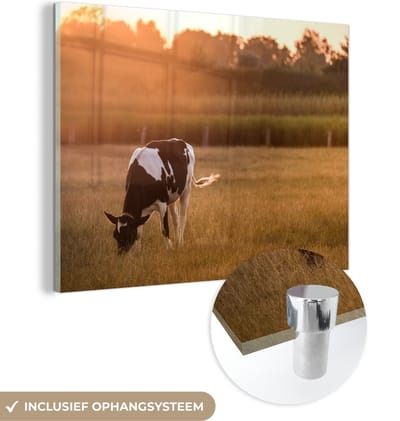 MuchoWow® Glasschilderij 40x30 cm - Schilderij acrylglas - Koe - Zon - Dieren - Foto op glas - Schilderijen