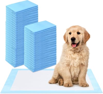 Famanu - 50 Stuks pipi-matten 35x25 cm voor kleine dieren