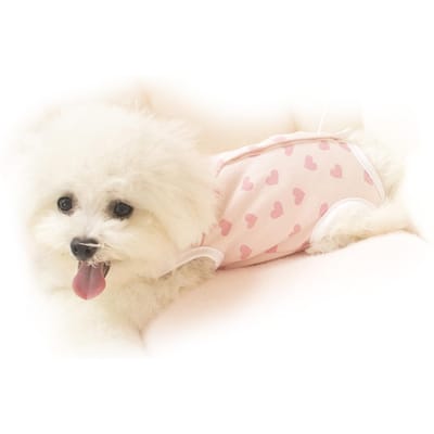 Theekop Hondenkleding Verkoudheid Preventie Buik Kleine Theekop Hond Outfit voor Lente Herfst