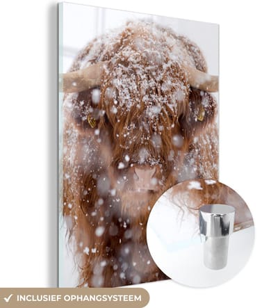 MuchoWow® Glasschilderij 120x160 cm - Schilderij acrylglas - Schotse Hooglander - Horens - Sneeuw - Foto op glas - Schilderijen