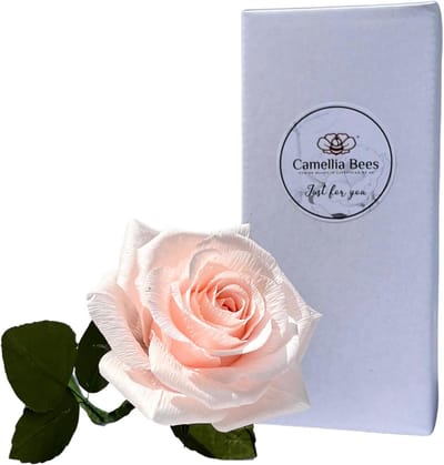 Enkele Lange Steel Papieren Roos Cadeau - Handgemaakte Crêpe Bloem voor Jubileum, Valentijn of Moederdag