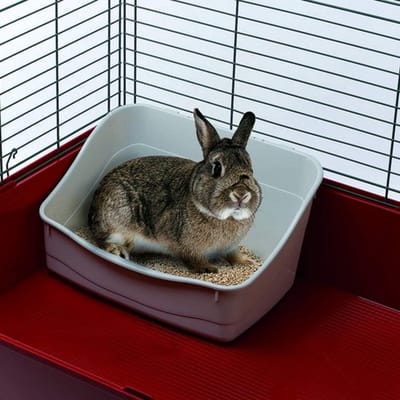 Konijnenbakje L 305 Toilet voor Knaagdierkooien Konijnen en Kleine dieren, gemakkelijk te reinigen Hygiënisch, 37 x 27 x h 18,5 cm gemengde kleuren