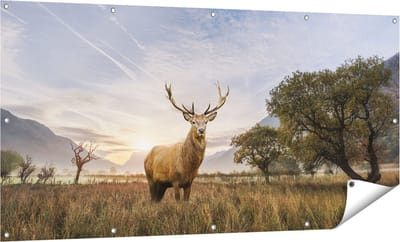 Gards Tuinposter Hert in het Landschap - 160x80 cm - Tuindoek - Tuindecoratie - Wanddecoratie buiten - Tuinschilderij