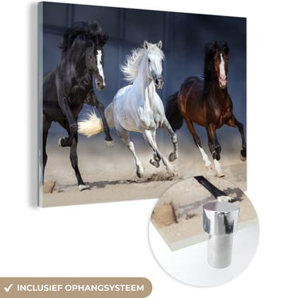 MuchoWow® Glasschilderij 80x60 cm - Schilderij acrylglas - Paarden - Dieren - Zand - Foto op glas - Schilderijen