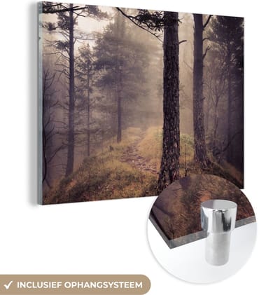 MuchoWow® Glasschilderij 40x30 cm - Schilderij acrylglas - Mist - Herfst decoratie - Natuur - Bos - Foto op glas - Schilderijen