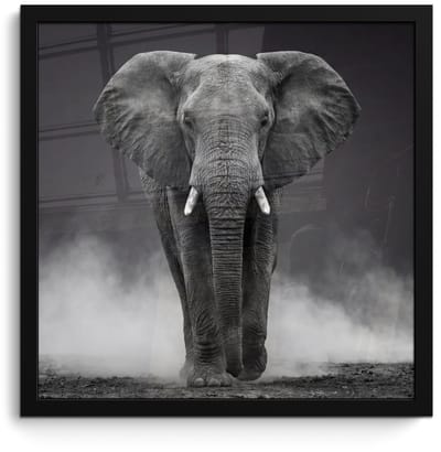 Poster in lijst - Fotolijst 40x40 cm - Posters - Olifant - Zwart - Wit - Rook - Posterlijst zwart - Decoratie - Wanddecoratie woonkamer - Muurdecoratie slaapkamer