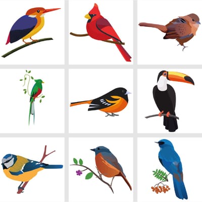 9 tegelstickers van vogels 15x15cm - badkamer, keuken en toilet - zelfklevend - peel and stick - decoratiestickers - plakfolie stickers - backsplash