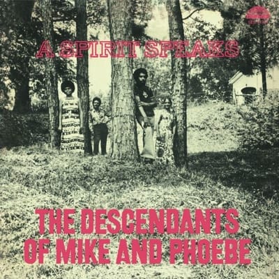 The Descendants Of Mike And Phoebe - A Spirit Speaks (LP)